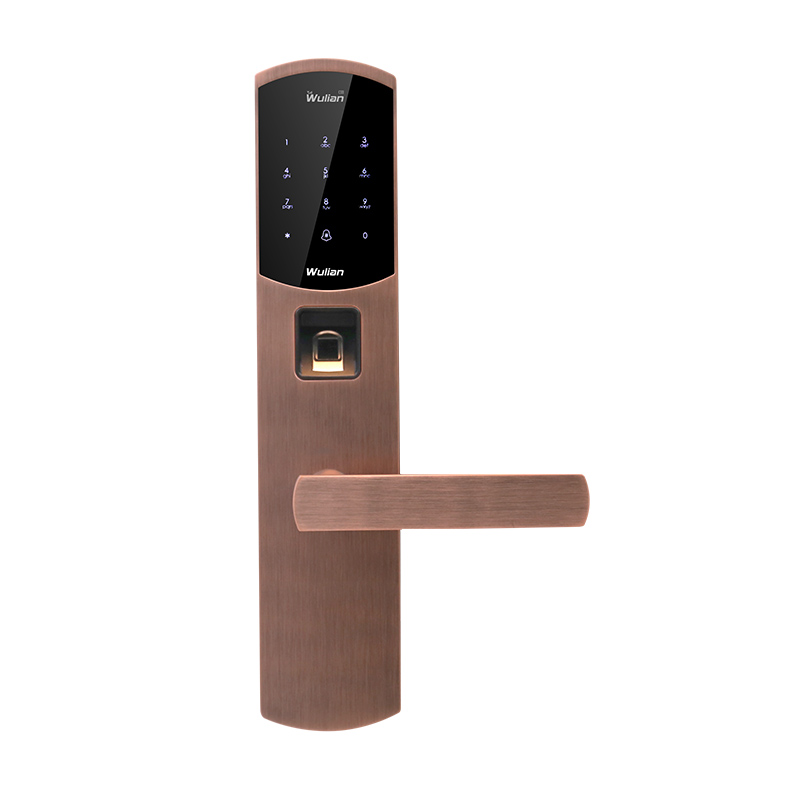 Smart Door Locks